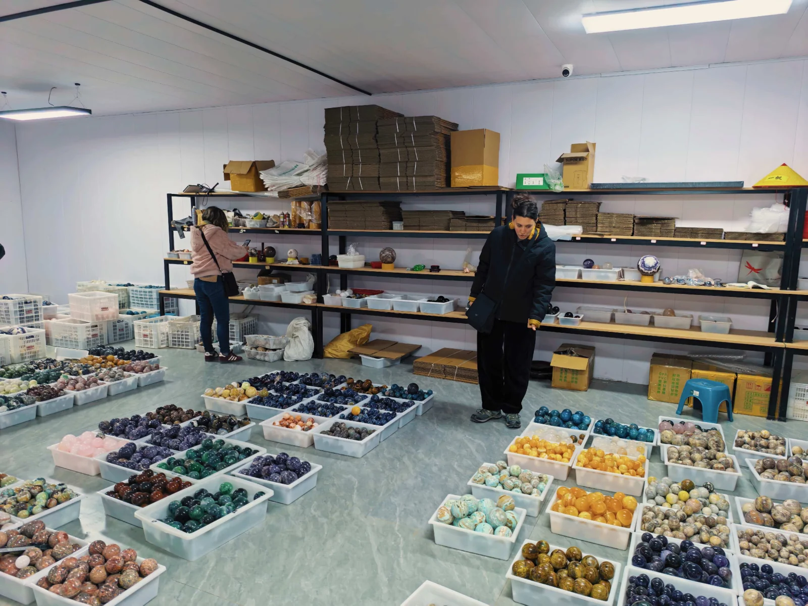 Choosing and organising the collection