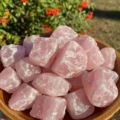 May include: A wooden bowl filled with raw, light pink rose quartz stones. The stones have a rough, natural texture and varying sizes. The background features green foliage and red berries, creating a natural setting.