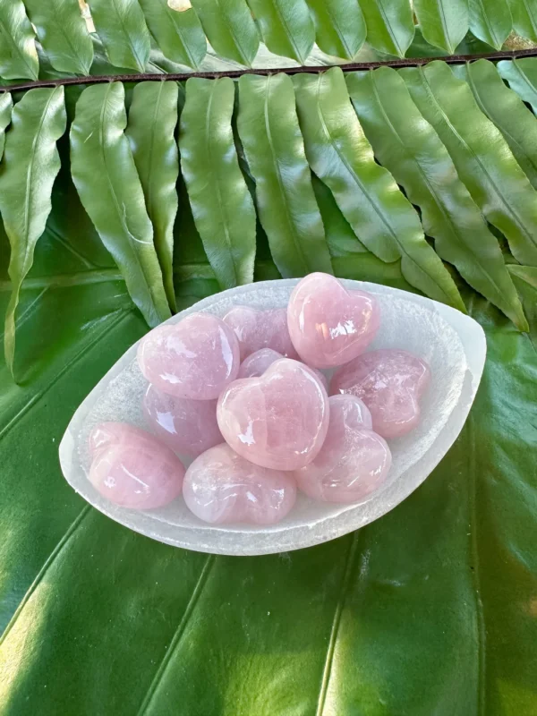 May include: A collection of pink rose quartz heart-shaped crystals in a white bowl. The bowl is sitting on a bed of green leaves. May include: A collection of pink rose quartz heart-shaped crystals in a white bowl. The bowl is sitting on a bed of green leaves.