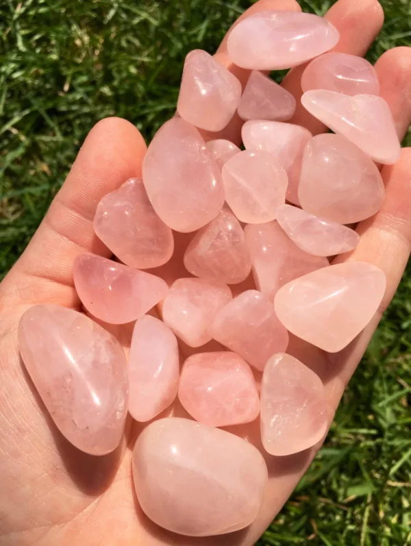 May include: A collection of tumbled rose quartz stones in various sizes and shapes. The stones are a pale pink color and have a smooth, polished finish. May include: A collection of tumbled rose quartz stones in various sizes and shapes. The stones are a pale pink color and have a smooth, polished finish.