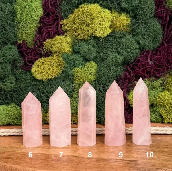 May include: Five light pink rose quartz crystal points arranged in a row on a wooden surface. Each crystal has a hexagonal base and a pointed top. The crystals May include: Five light pink rose quartz crystal points arranged in a row on a wooden surface. Each crystal has a hexagonal base and a pointed top. The crystals are labeled with the numbers 6, 7, 8, 9, and 10 printed in white below each piece.