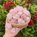 May include: A collection of raw, light pink rose quartz crystals in a small, woven basket. The crystals are held in a hand, with a backdrop of green leaves and red berries. The crystals have a rough, natural texture.