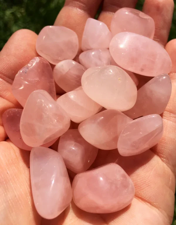 May include: A collection of tumbled rose quartz stones in various sizes and shapes. The stones are a pale pink color and have a smooth, polished finish. May include: A collection of tumbled rose quartz stones in various sizes and shapes. The stones are a pale pink color and have a smooth, polished finish.