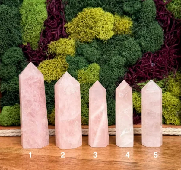 May include: Five polished rose quartz crystal points arranged in a row on a wooden surface. Each point is numbered from one to five at the base, displaying var May include: Five polished rose quartz crystal points arranged in a row on a wooden surface. Each point is numbered from one to five at the base, displaying varying heights and shades of translucent pale pink with natural internal fractures.